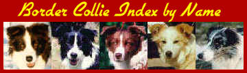[Border Collie Index by Name]
